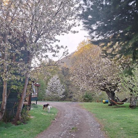 Casaverde Hostal Ecologico Malalcahuello Kültér fotó