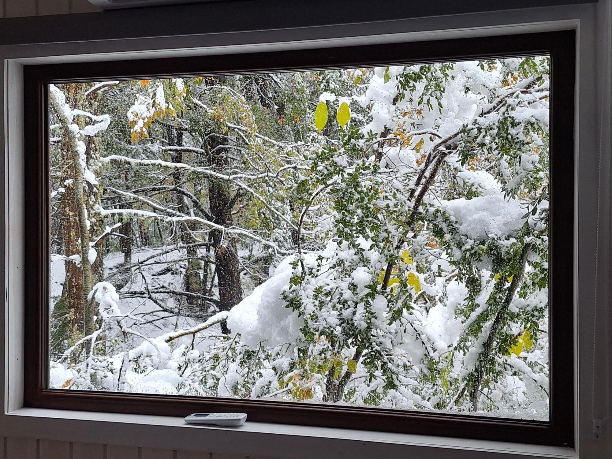 Casaverde Hostal Ecologico Malalcahuello Kültér fotó